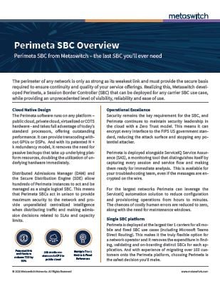 Perimeta SBC Overview Datasheet